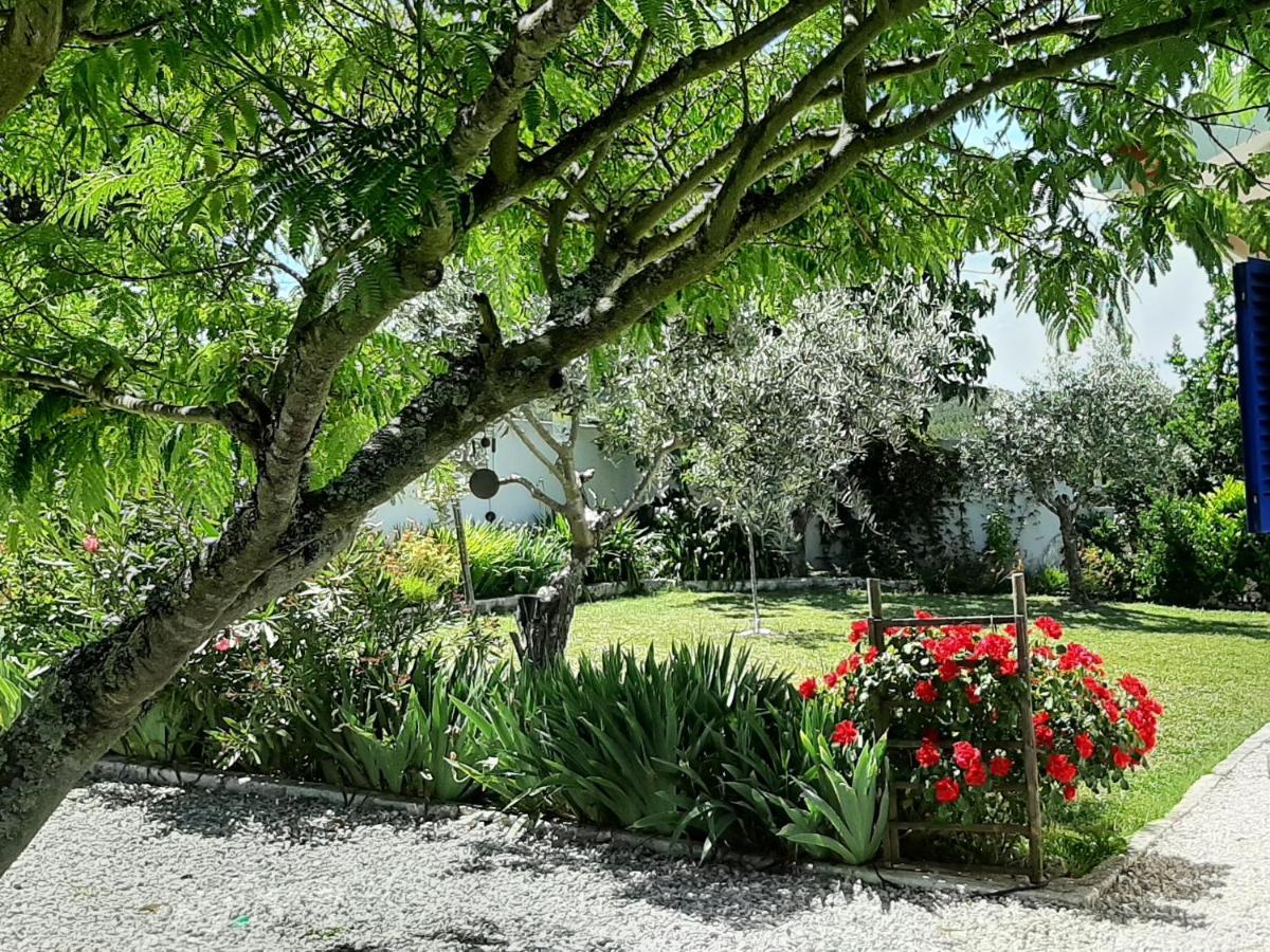 A Casa Francesa Vila Anceriz Exterior foto